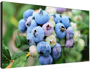 液晶拼接屏出現(xiàn)色差應(yīng)該如何維修？